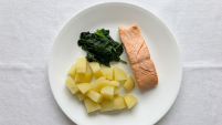 Salmon